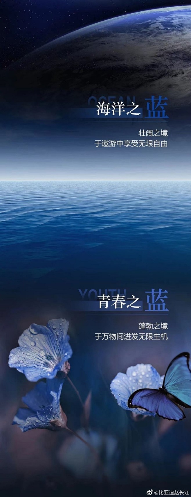 邂逅一抹幽蓝，迸发无限生命精彩
秦plu...