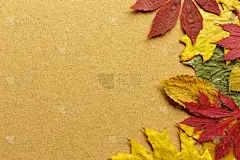 秋天,背景,叶子,木制,正面视角,留白,纹理效果,纺织品,古老的,古典式