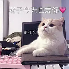 有哪些适合情侣间聊天使用的表情包？ - 知乎 : 先放大招！/想用腿量哥哥的腰围/一起碎觉觉券哈！果然把你们（pian）进来了不请自来！900+表情包！哦该死…