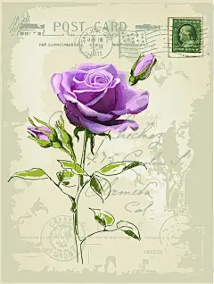 紫色玫瑰花 明信片邮戳盖章印章矢量素材 (2)