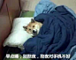 来自相册