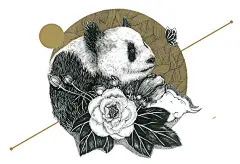 成都印象 ( 熊猫与芙蓉） ..._涂鸦王国 原创绘画平台 www.poocg.com