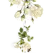 png素材 透明素材 png图片 绿色 水果 鲜花 植物 干净 栀子 花 树叶 绿叶 叶子 芦荟 健康 摄影 高清 素材 草丛 香菇 茶叶 菜 大自然图片 小素材 花木 植物 水果 厨房 蔬菜 肉类 素材 PNG免抠 花藤 树叶 叶子 花丛 @北坤人素材