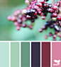 Design Seeds : Design Seeds color palettes ... posted daily for all who love color.