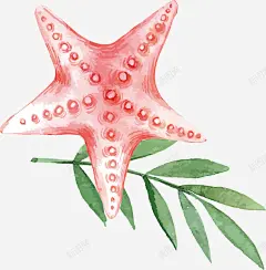 清新手绘水彩海星矢量图 元素 免抠png 设计图片 免费下载 页面网页 平面电商 创意素材