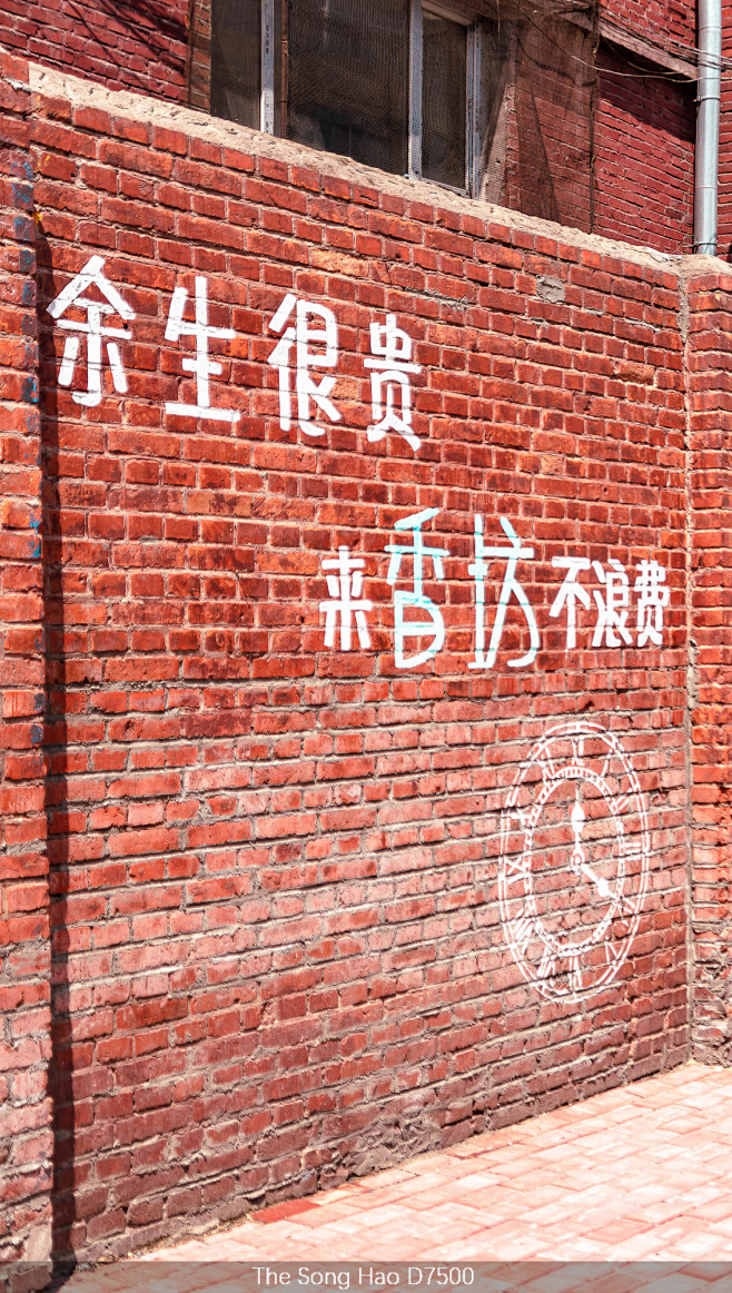 哈尔滨网红墙 (4)