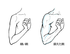 宇治抹茶ivey采集到人体