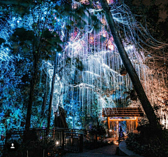 Shiny_H采集到夜游·Nightscape lighting