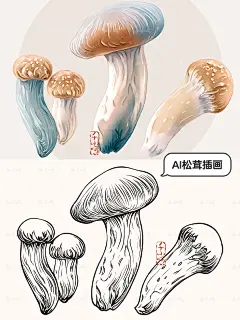 AI手绘云南山珍松茸菌插画美到灵魂出窍 - 小红书