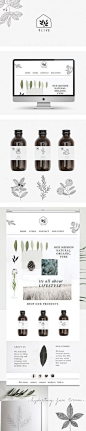 Branding and website for olive skincare by Ryn Frank logo design minimalist icon line drawing illustration packaging bottle