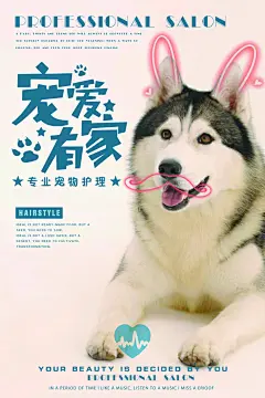 宠爱有家宠物海报