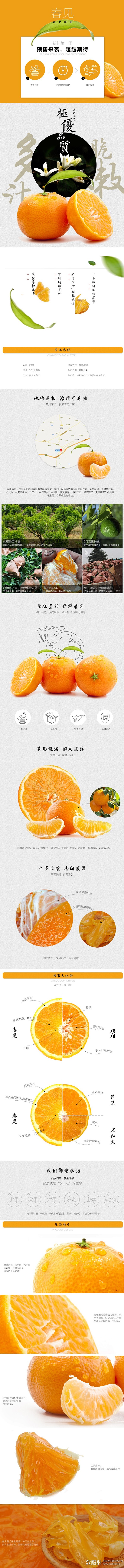 橙-详情