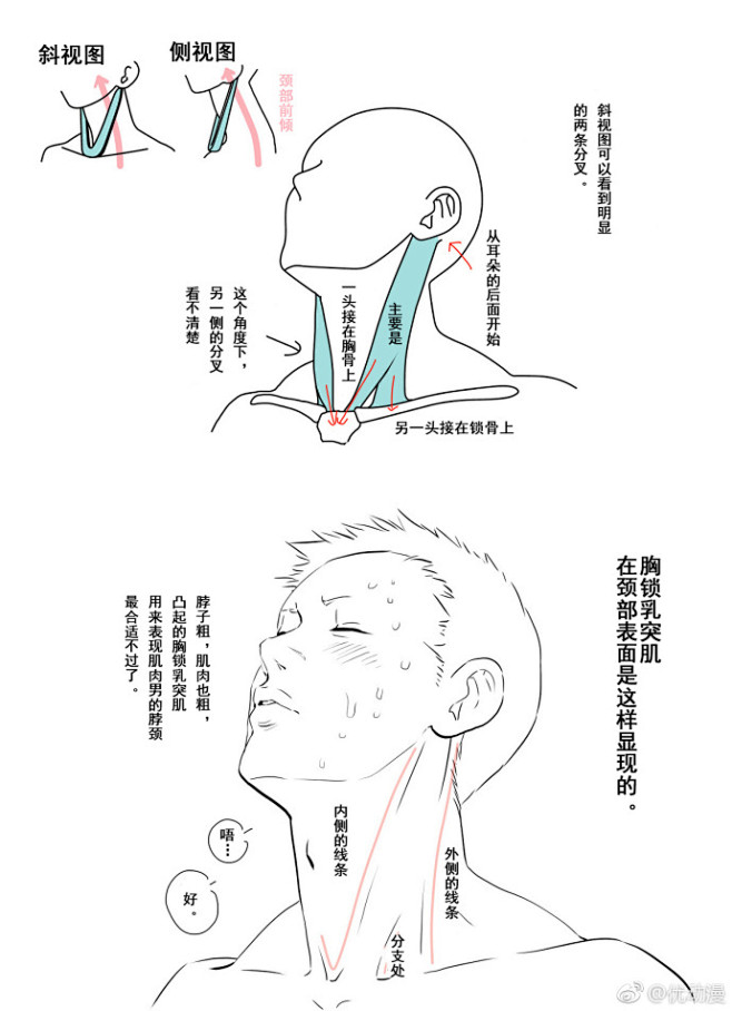 #绘画教程#如何才能画好肩颈肌肉呢！来看...