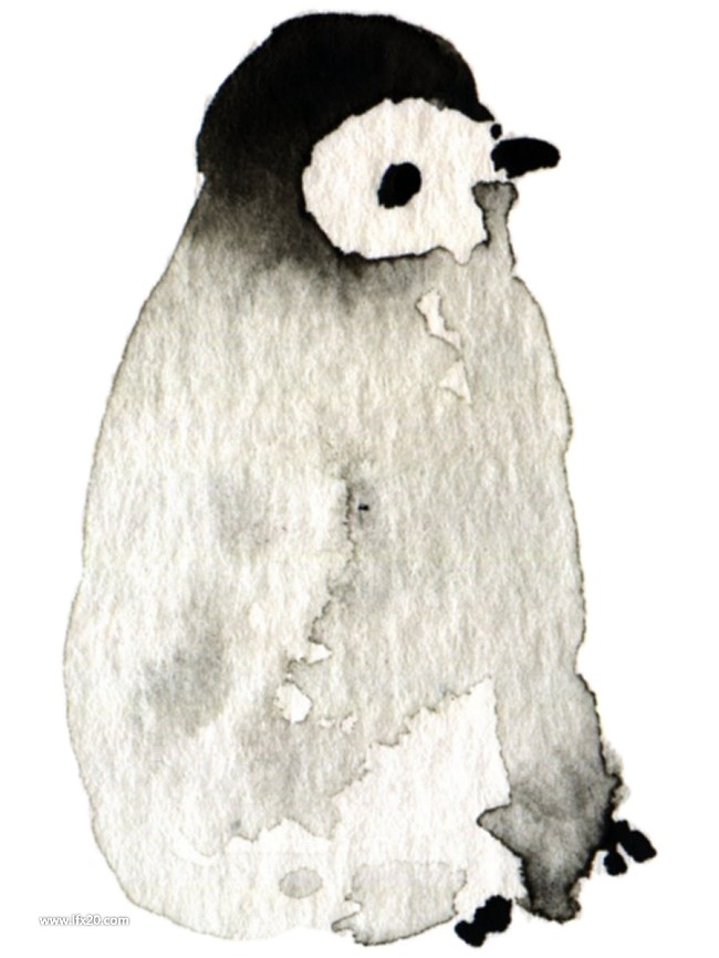手绘企鹅插图