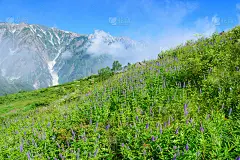 日本北阿尔卑斯山的四郎马山