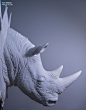 zbrush极致雕刻大猩猩经验分享_Zbrush教程_朱峰社区3D教程
