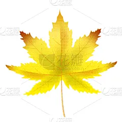 模板,黄色,秋天,叶子,背景,九月,十月,传单,壁纸