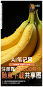 视频课0803-308