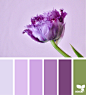 Color Flora | Design Seeds : { color flora } | image via: @emilycontephotography