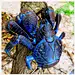 Coconut Crab: The Coconut Crab is the only species of the genus Birgus and is related to the terrestrial hermit crabs of the genus Coenobita ~ [Wikipedia]:
