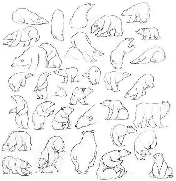 熊的画法