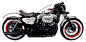 harley_davidson_PNG49