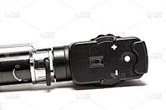 视神经,动物视网膜,偏振光色感计,视网膜,水平画幅,健康保健,动物身体部位,生物学,医疗建筑