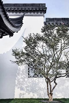 用脚做稿采集到中式