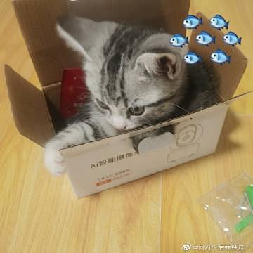 微博搜索