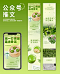 公众号长图排版｜清明青团餐饮品牌推文设计_1_智汇运营_来自小红书网页版
