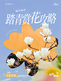ooohwm采集到推文