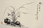 中国风：素心兰香 ​​​​
