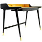 Ladies Desk, Writing Desk by Reinhold Stotz, Germany 1955