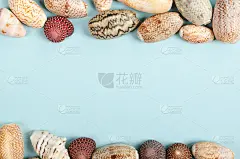平躺的概念夏季旅游度假，海贝的俯视图上的淡蓝色背景与复制空间在最小的风格，贺卡模板