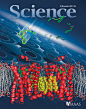 Contents | Science 318, 5854