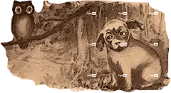 狗 猫头鹰 森林 自然 树木 万圣节 宠物 葡萄酒 吓 动物