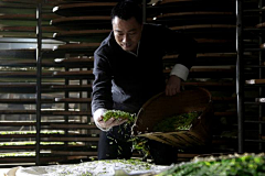 坚无聊采集到茶