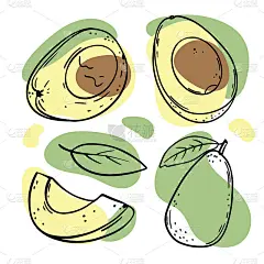 牛油果美味的水果素描矢量插图集