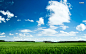 green skies wallpaper (#3005268) / Wallbase.cc