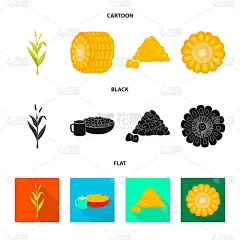 蔬菜,图标,农业,什锦烤燕麦片,热,食品,熟的,玉米,甜玉米,设计