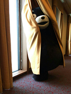 wyyyyyw采集到kumamon