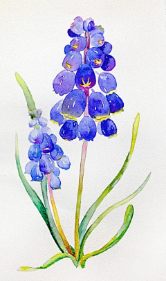 若沫蕸葭采集到插画