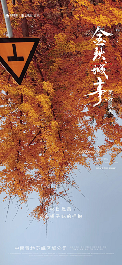 一起摸鱼去采集到地产走心扎心