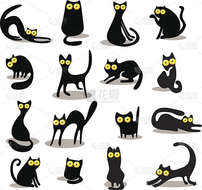 黑猫