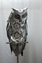 hubcap owl