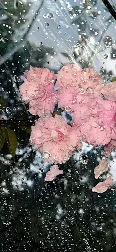微信背景图 - 高清图片，堆糖，美图壁纸兴趣社区