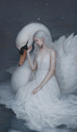 天鹅_bain-片片__插画师作品_涂鸦王国gracg.com