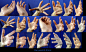 Hand Pose-Foreshortening/Perspective 2 by Melyssah6-Stock on deviantART