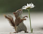 Over the daisy by Andre Villeneuve on 500px