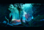 Tyler Smith : Senior Environment Artist at Sucker Punch